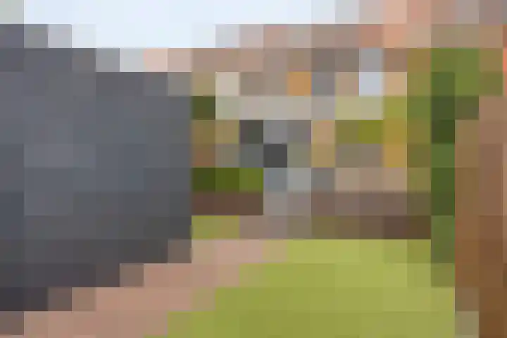 Lagunesingel 86 Beuningen Gld thumbnail 52