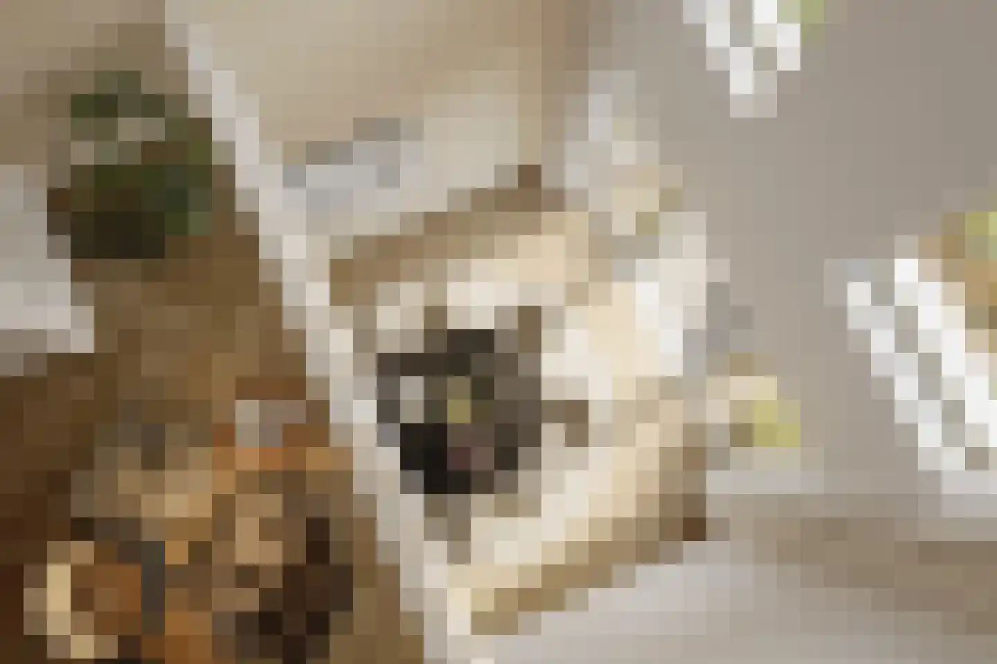 Lahemaalaan 1 Almere thumbnail 4