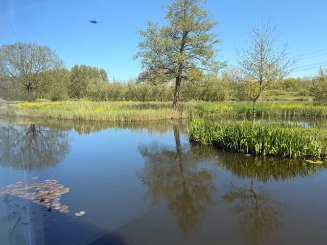 Lahndal 17 Capelle aan den IJssel thumbnail 29
