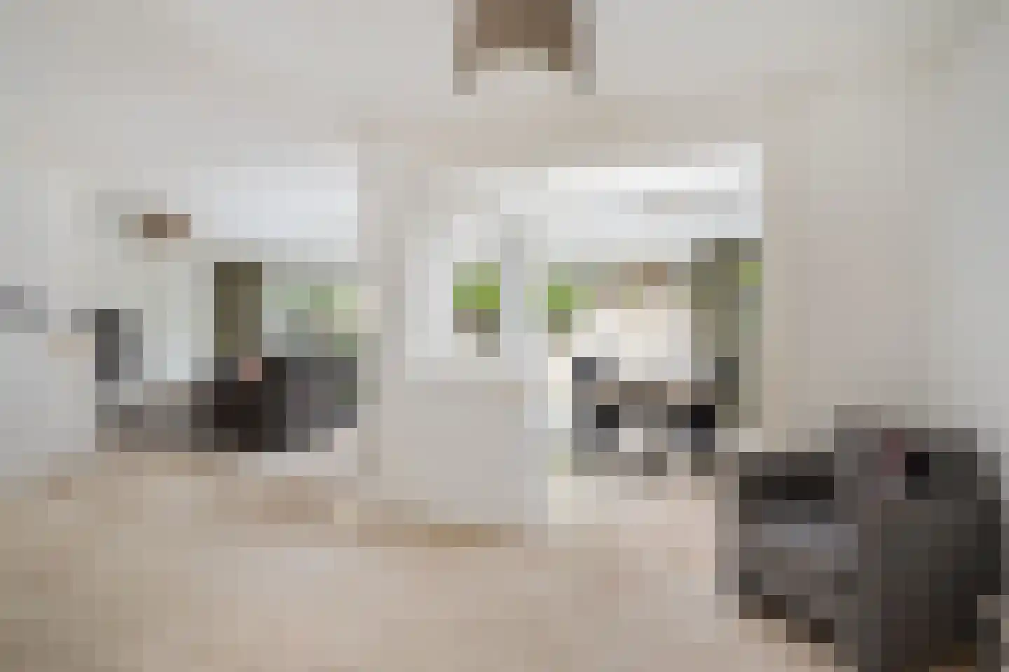 Lahndal 5 Capelle aan den IJssel thumbnail 11