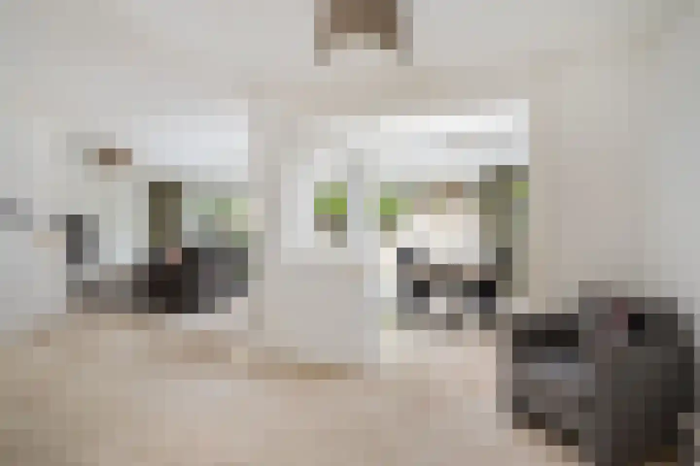 Lahndal 5 Capelle aan den IJssel thumbnail 17