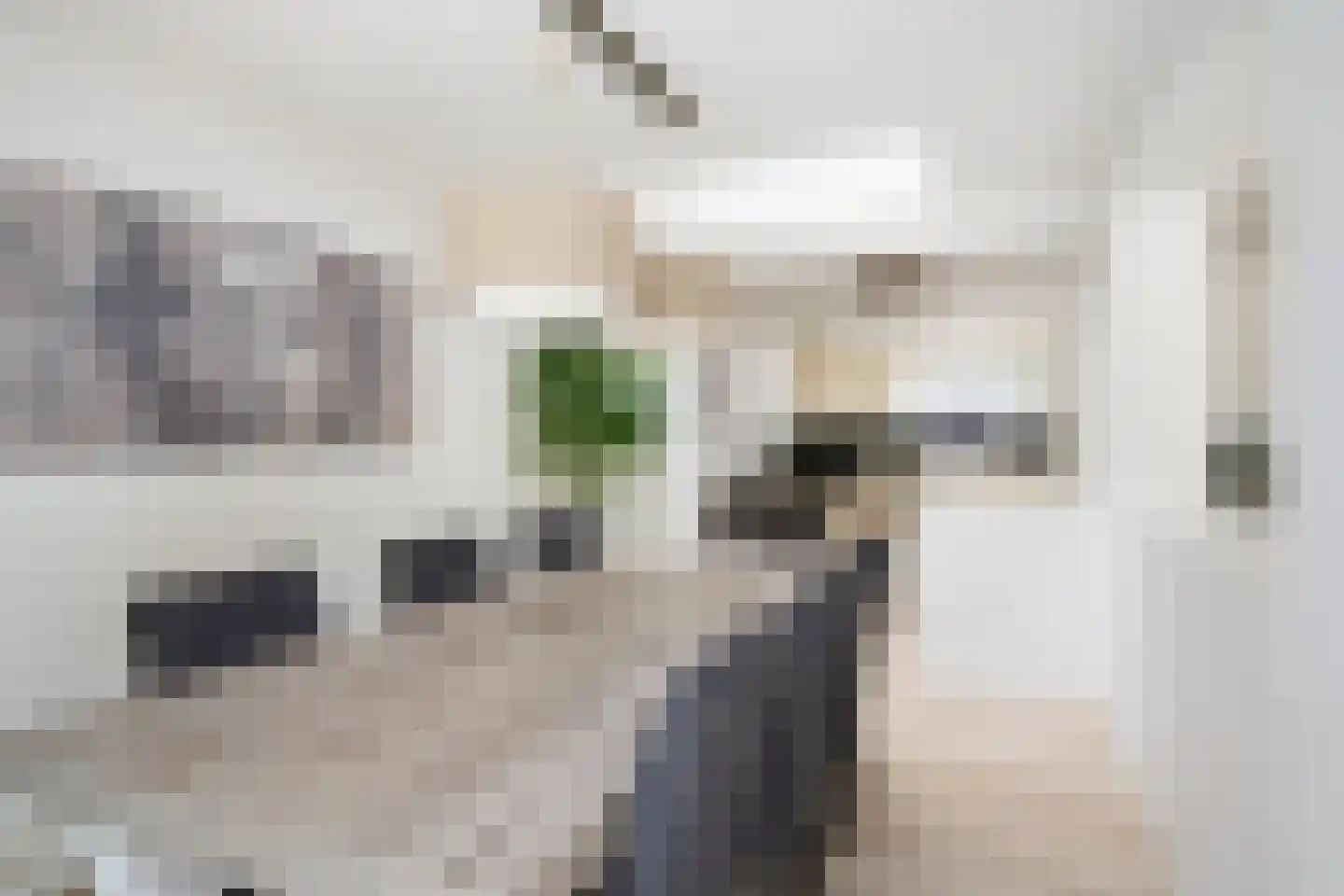Lahndal 5 Capelle aan den IJssel thumbnail 19