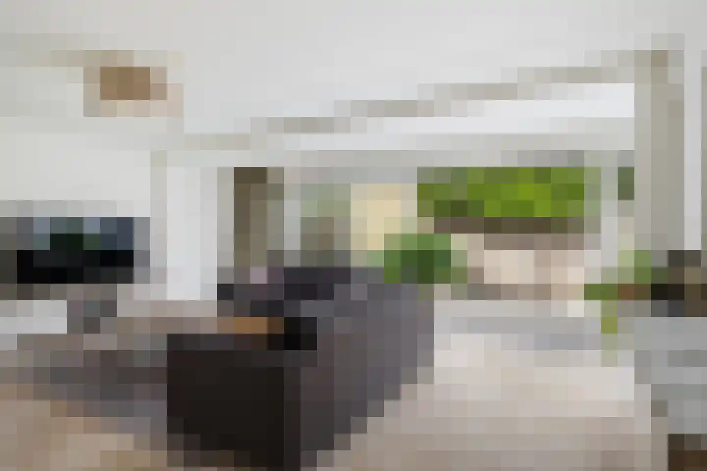 Lahndal 5 Capelle aan den IJssel thumbnail 4