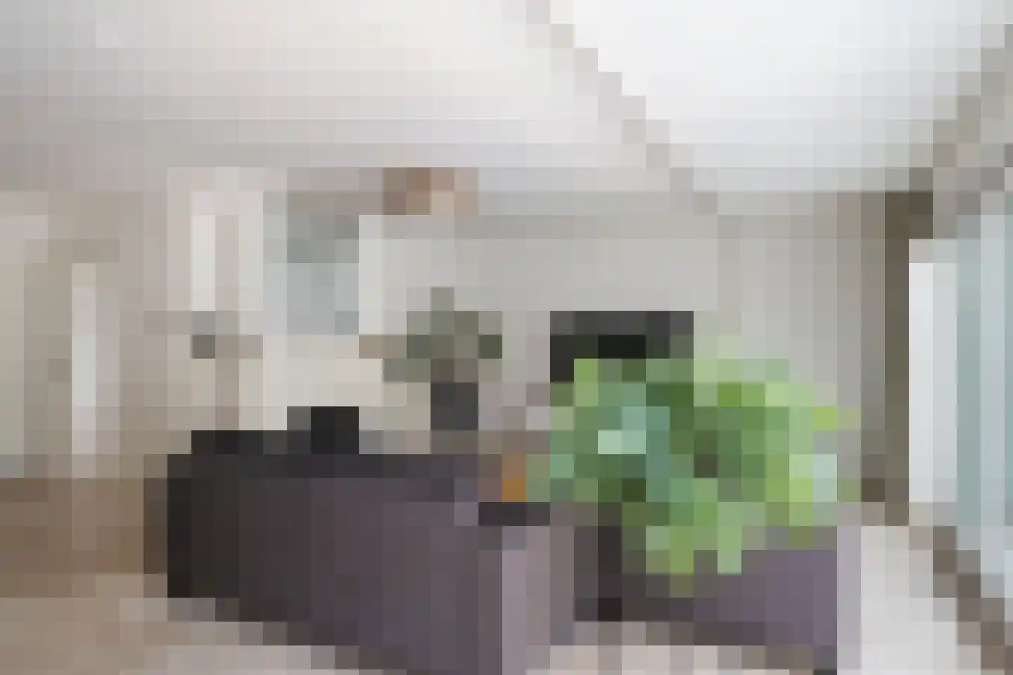 Lahndal 5 Capelle aan den IJssel thumbnail 5