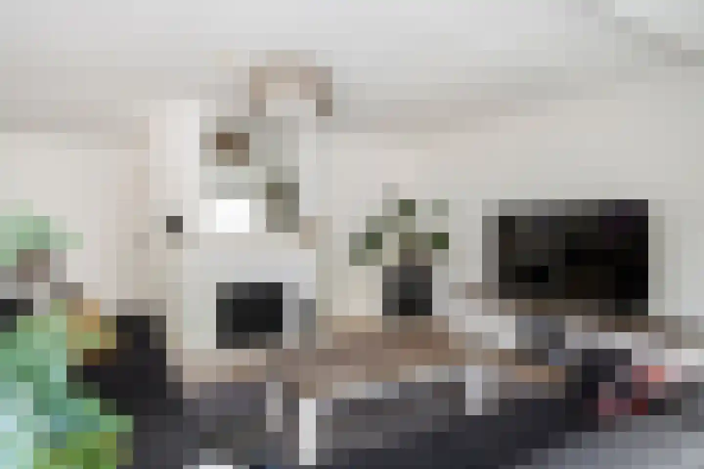 Lahndal 5 Capelle aan den IJssel thumbnail 6