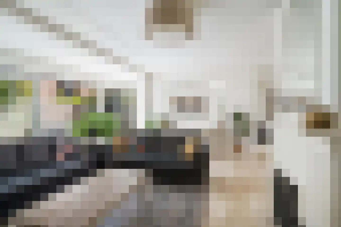 Lahndal 5 Capelle aan den IJssel thumbnail 7