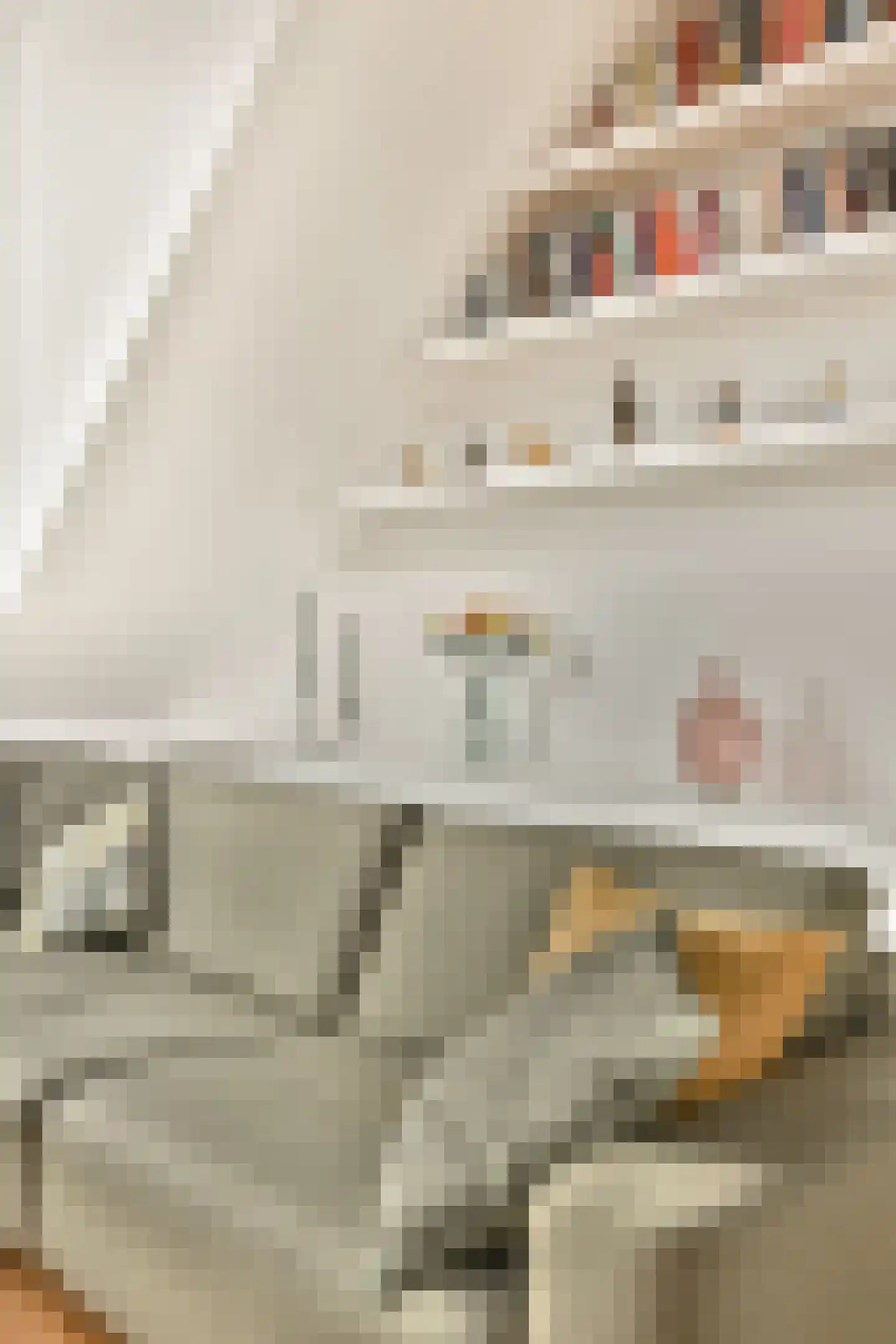 Laing's Nekstraat 18 K Amsterdam thumbnail 9