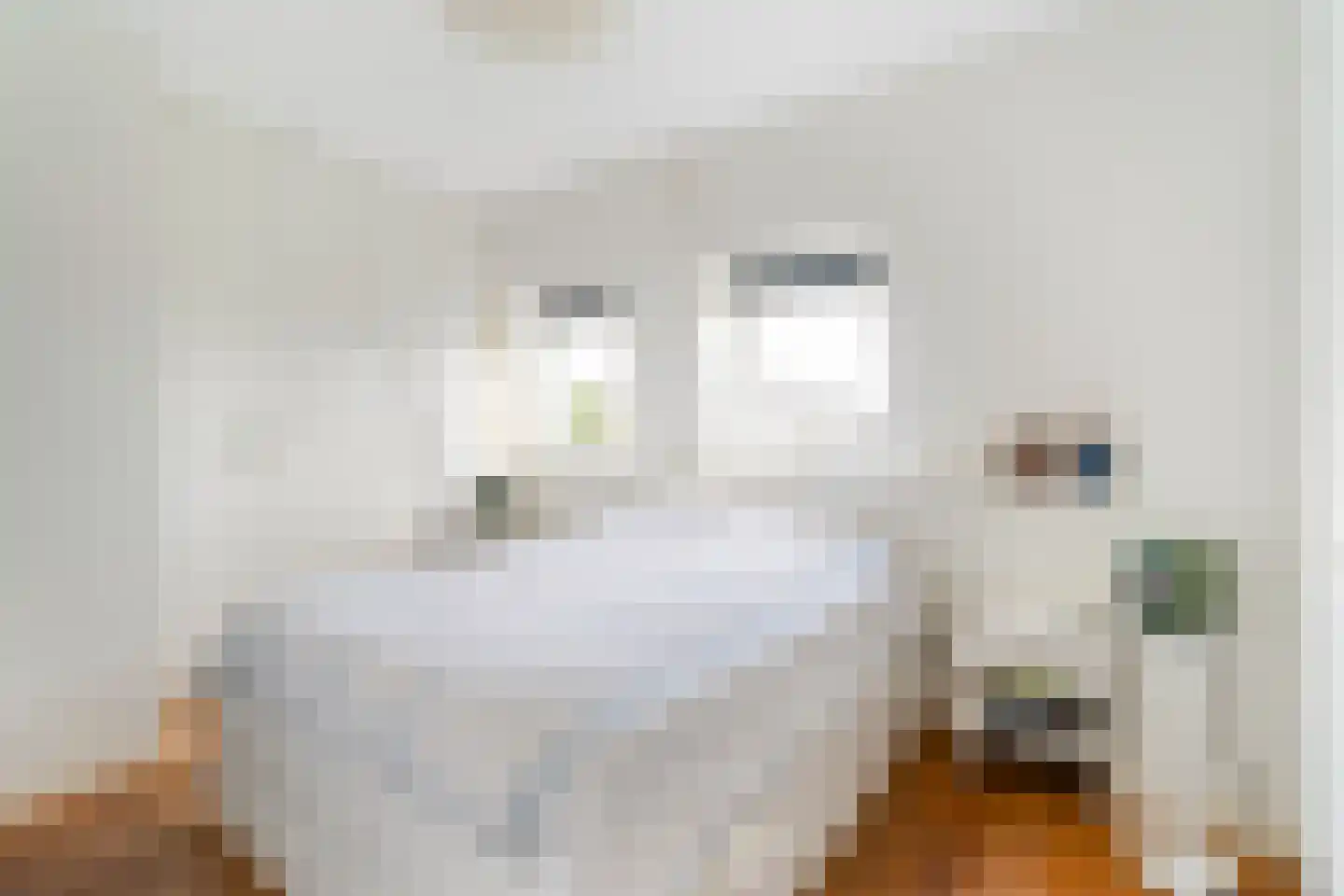 Laing's Nekstraat 37 4 Amsterdam thumbnail 15