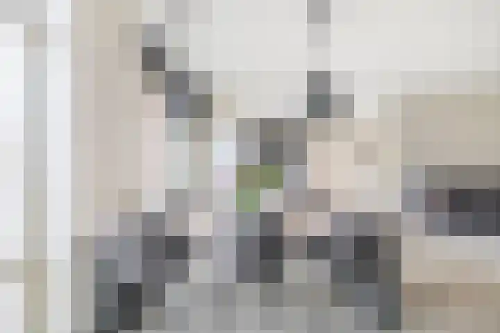 Lakeienoever 2 Zevenhuizen thumbnail 13