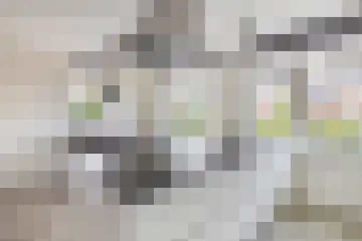 Lakeienoever 2 Zevenhuizen thumbnail 15