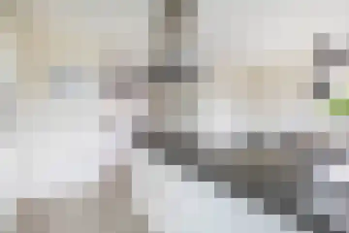 Lakeienoever 2 Zevenhuizen thumbnail 18