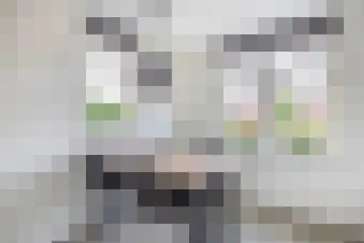 Lakeienoever 2 Zevenhuizen thumbnail 19