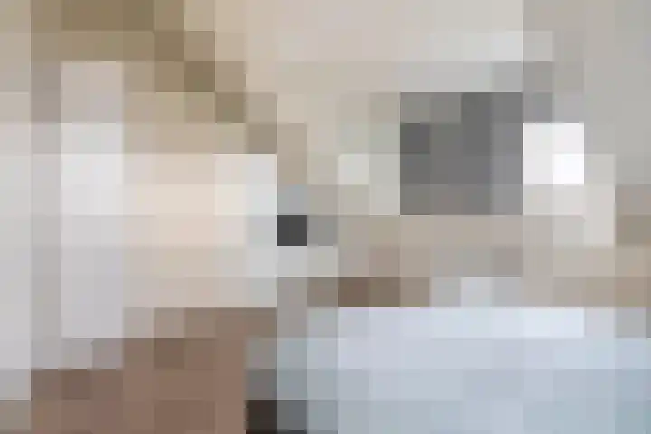 Lakeienoever 2 Zevenhuizen thumbnail 31
