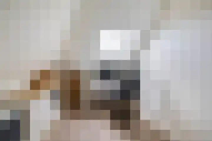 Lakeienoever 2 Zevenhuizen thumbnail 32
