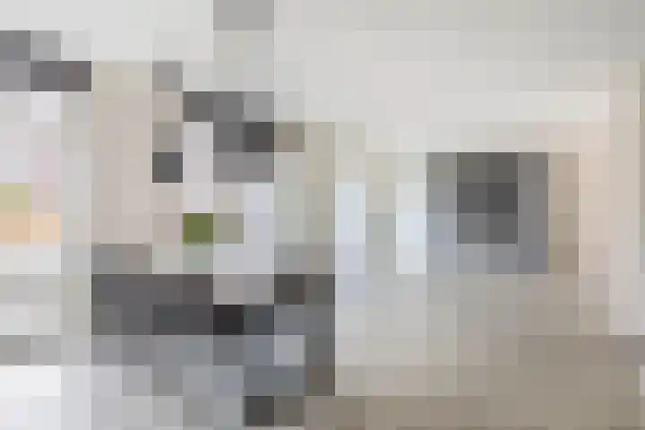Lakeienoever 2 Zevenhuizen thumbnail 8