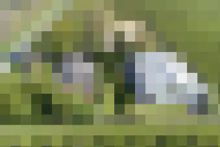 Lakemanweg 1 Venhuizen thumbnail 25