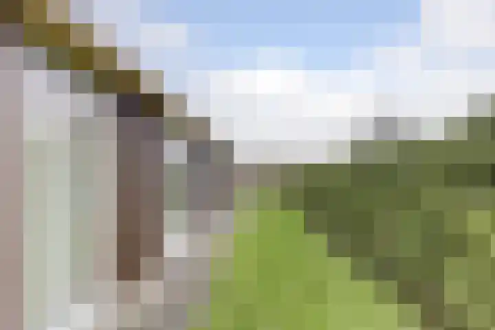 Lakemanweg 1 Venhuizen thumbnail 38