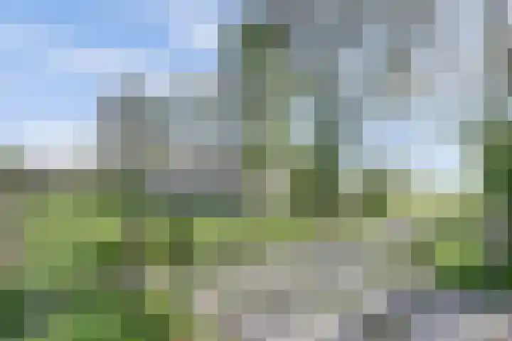 Lakemanweg 1 Venhuizen thumbnail 44