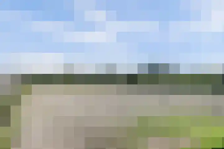 Lakemanweg 1 Venhuizen thumbnail 47