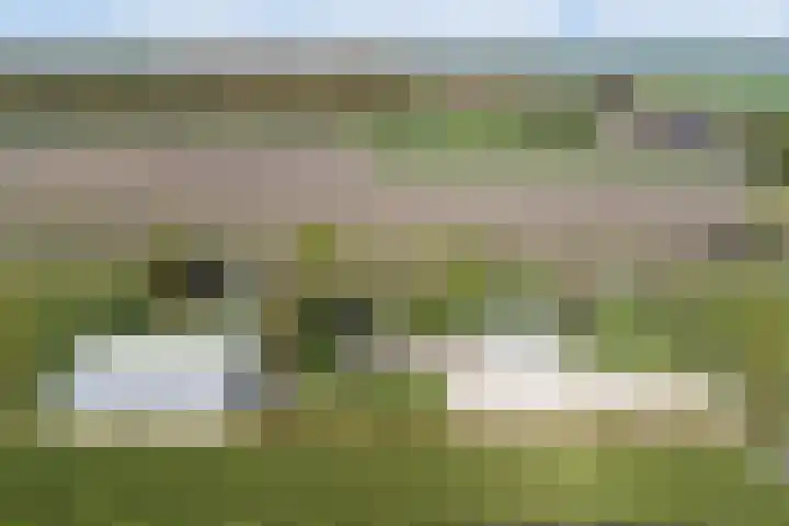 Lakemanweg 1 Venhuizen thumbnail 5
