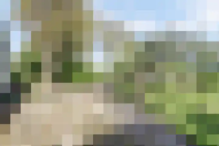 Lakemanweg 1 Venhuizen thumbnail 61