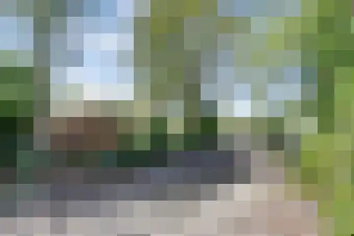 Lakemanweg 1 Venhuizen thumbnail 7