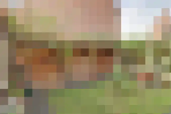 Lakenkopersgilde 2 Medemblik thumbnail 23