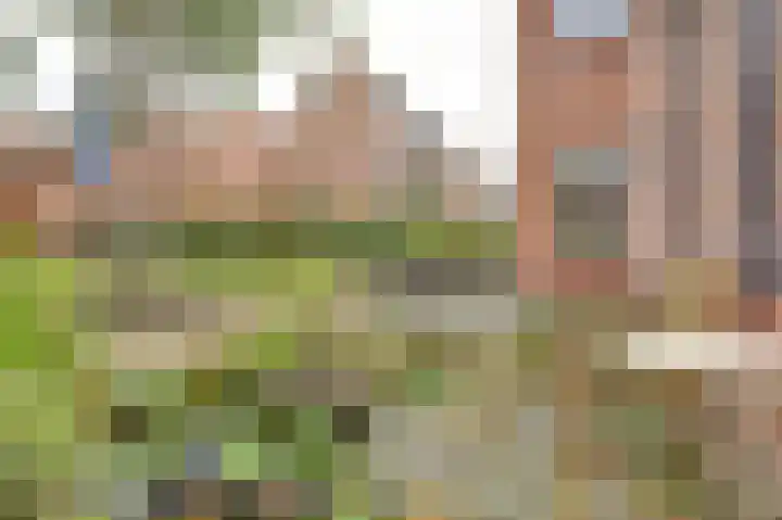 Lakenkopersgilde 2 Medemblik thumbnail 27