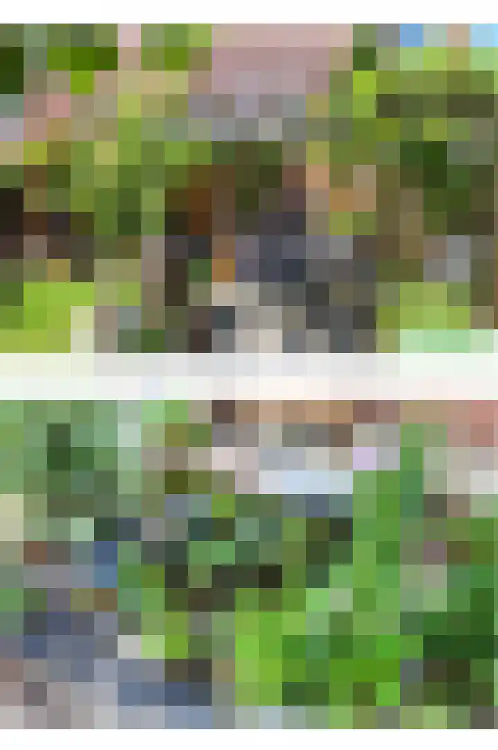 Lakenkopersgilde 2 Medemblik thumbnail 29