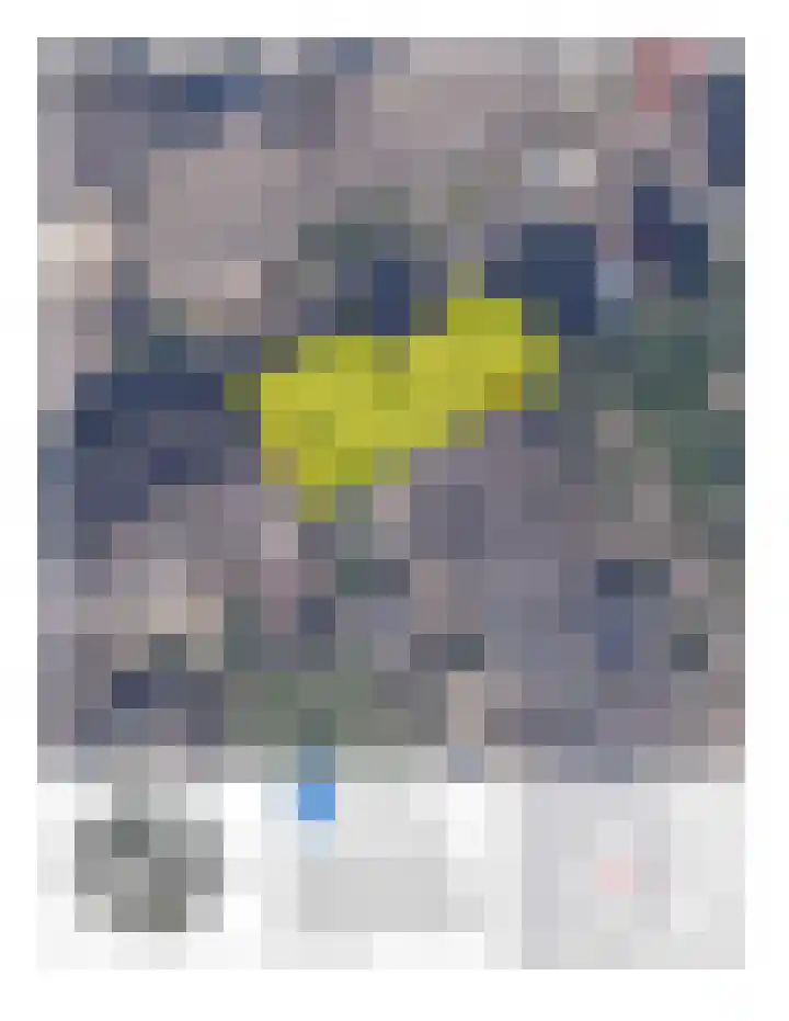 Lakenkopersgilde 2 Medemblik thumbnail 33