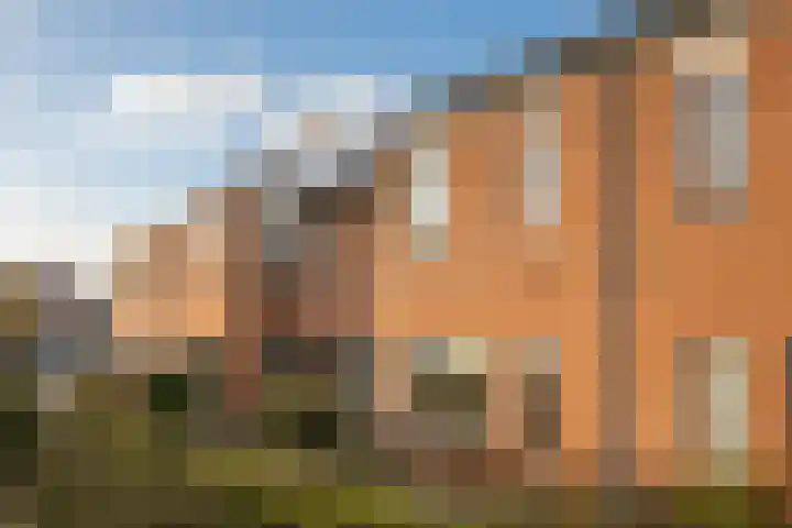 Lakenkopersgilde 6 Medemblik thumbnail 12