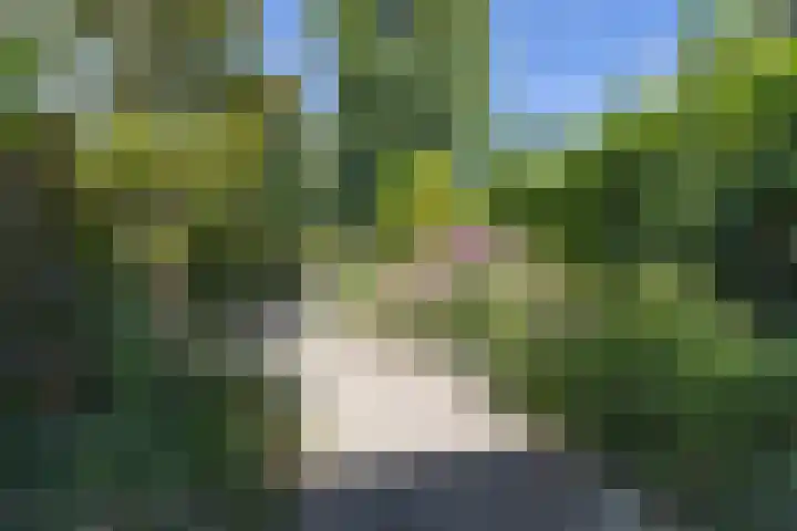 Lakenkopersweg 16 Weesp thumbnail 30