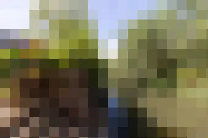 Lakenkopersweg 16 Weesp thumbnail 34