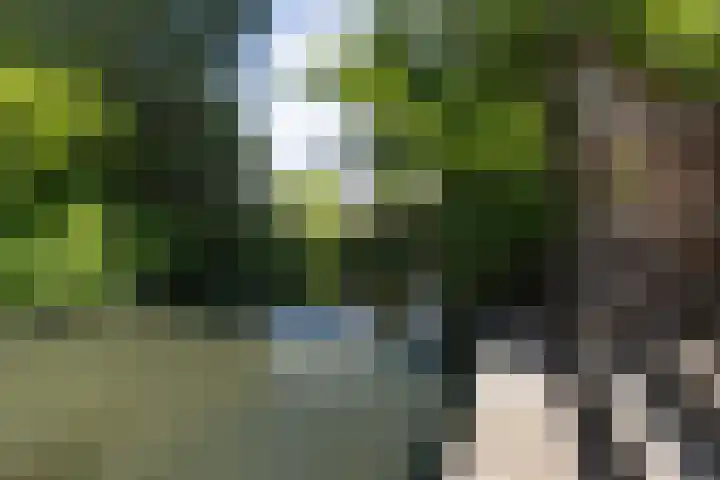Lakenkopersweg 16 Weesp thumbnail 35