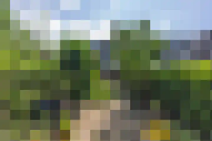 Lakenkopersweg 16 Weesp thumbnail 36