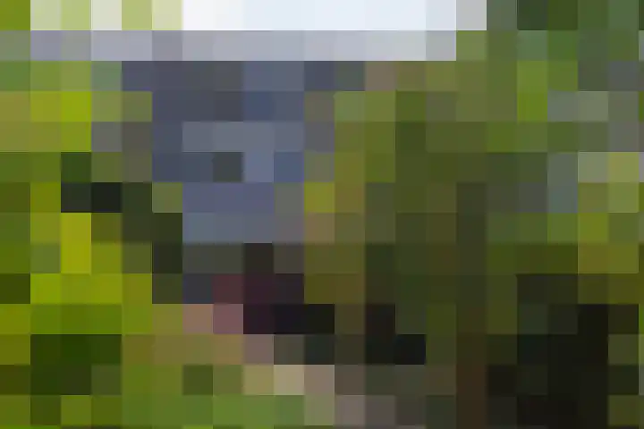 Lakenkopersweg 16 Weesp thumbnail 37