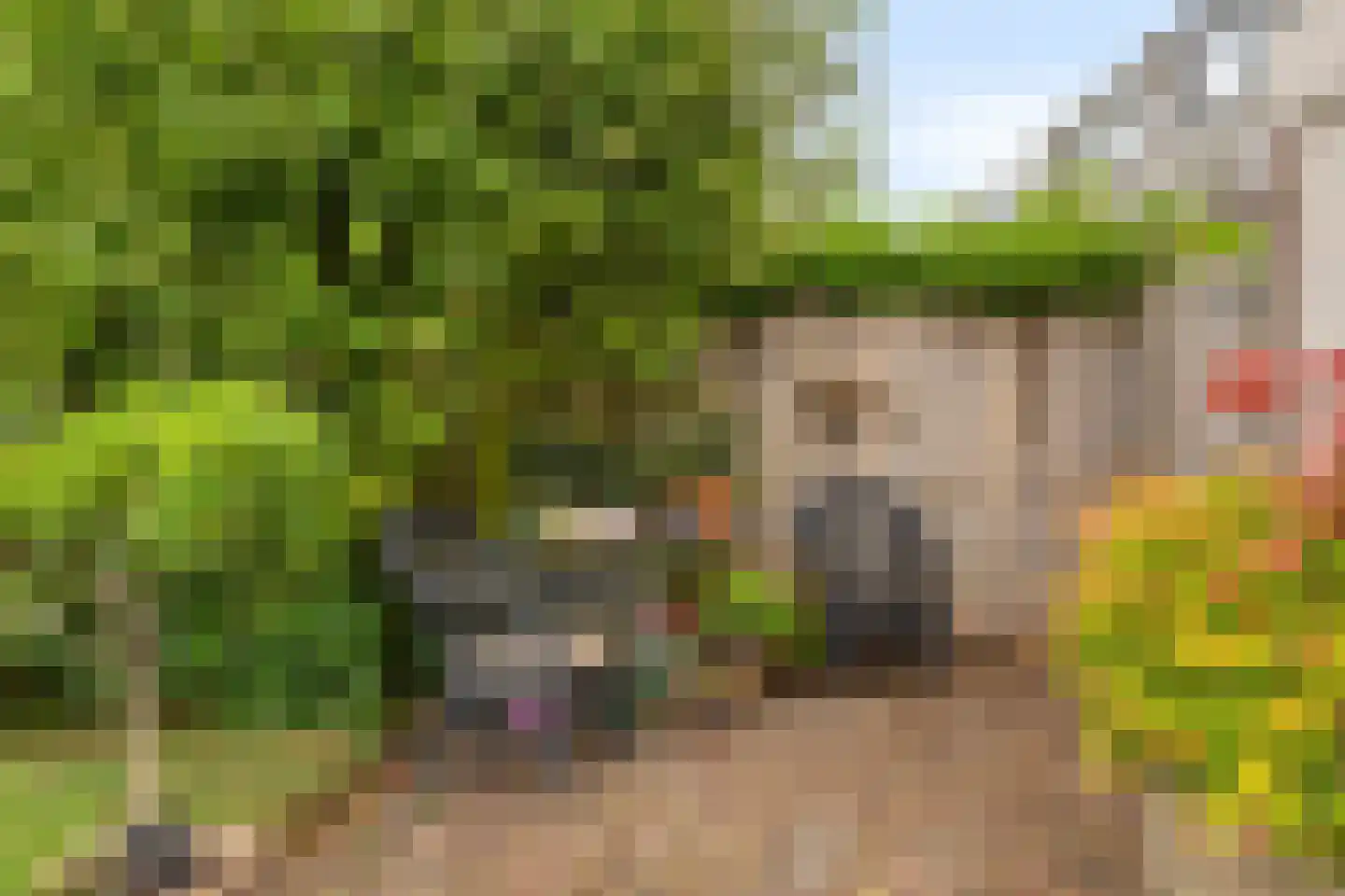 Lakenkopersweg 22 Weesp thumbnail 28