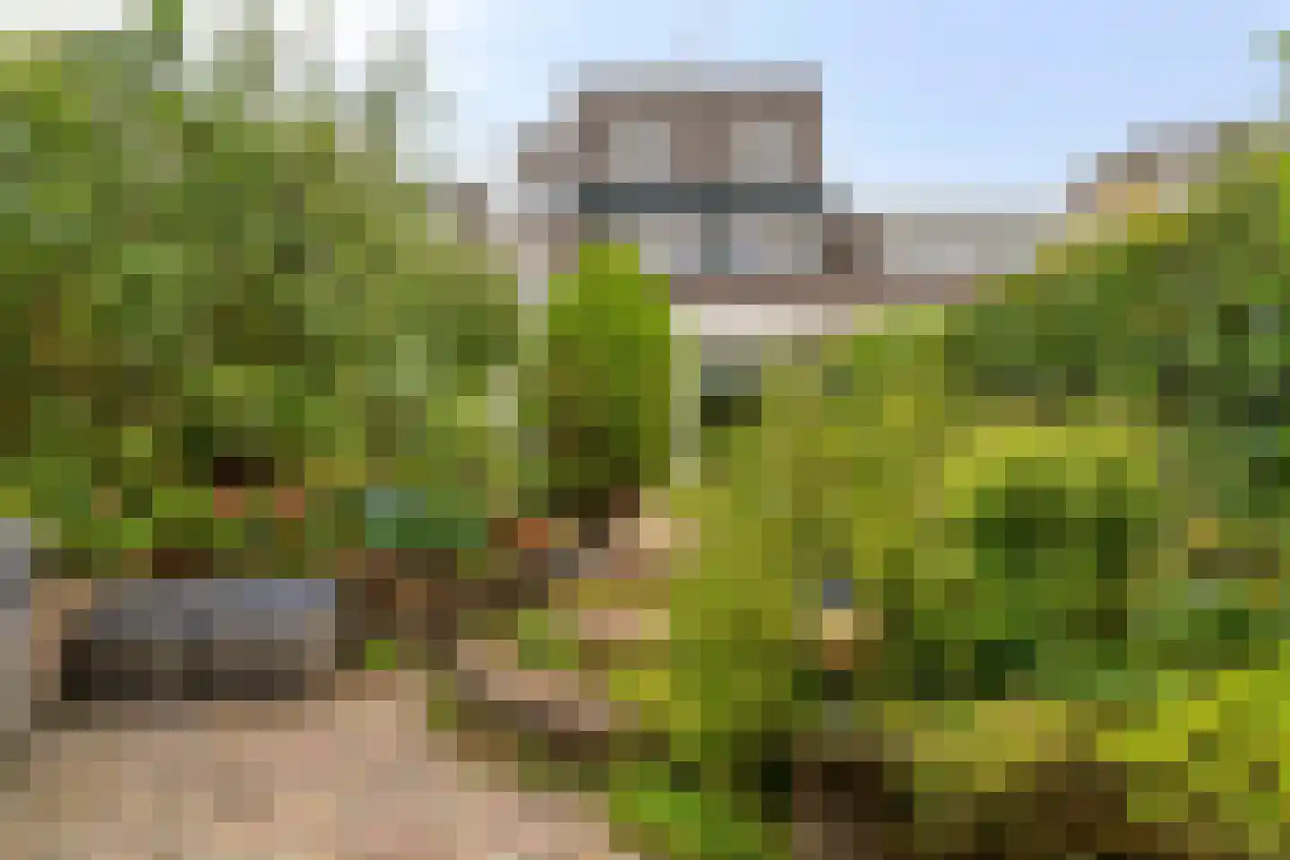 Lakenkopersweg 22 Weesp thumbnail 29