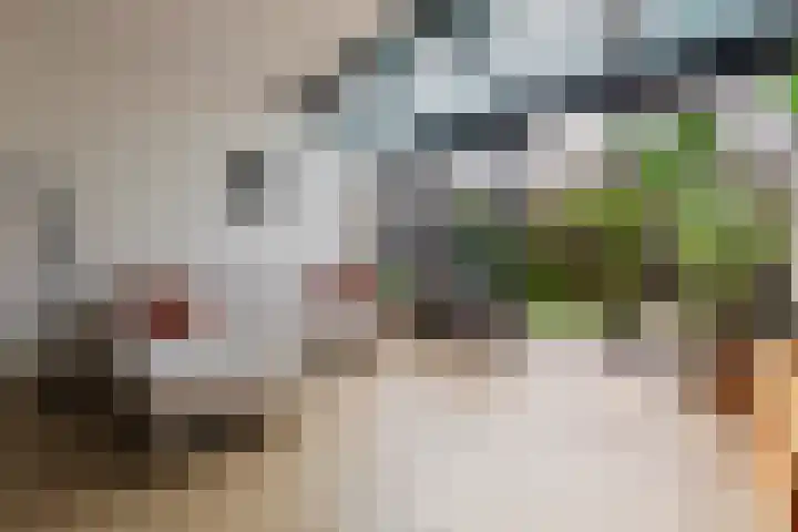 Lakenkopersweg 92 Weesp thumbnail 7