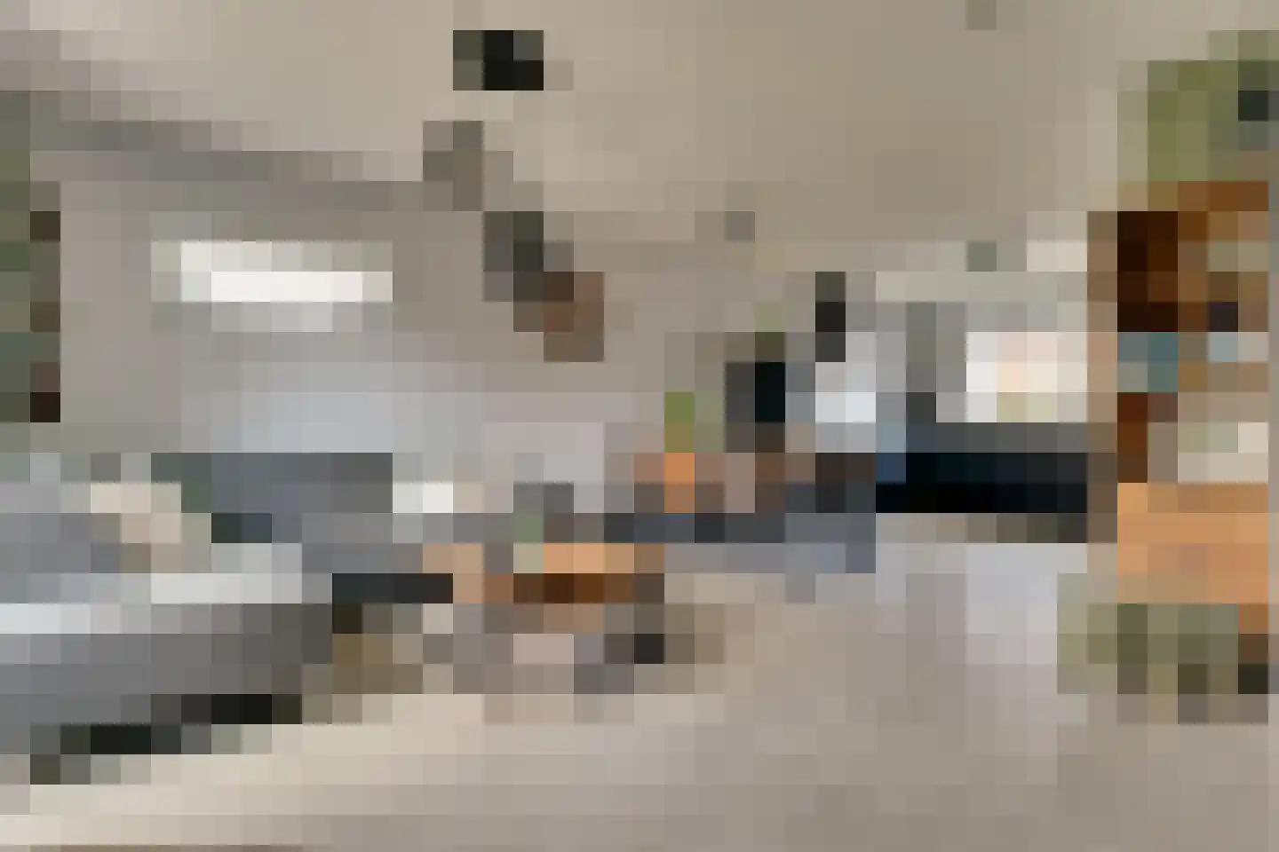 Lakensnijdersgilde 17 Hasselt thumbnail 12