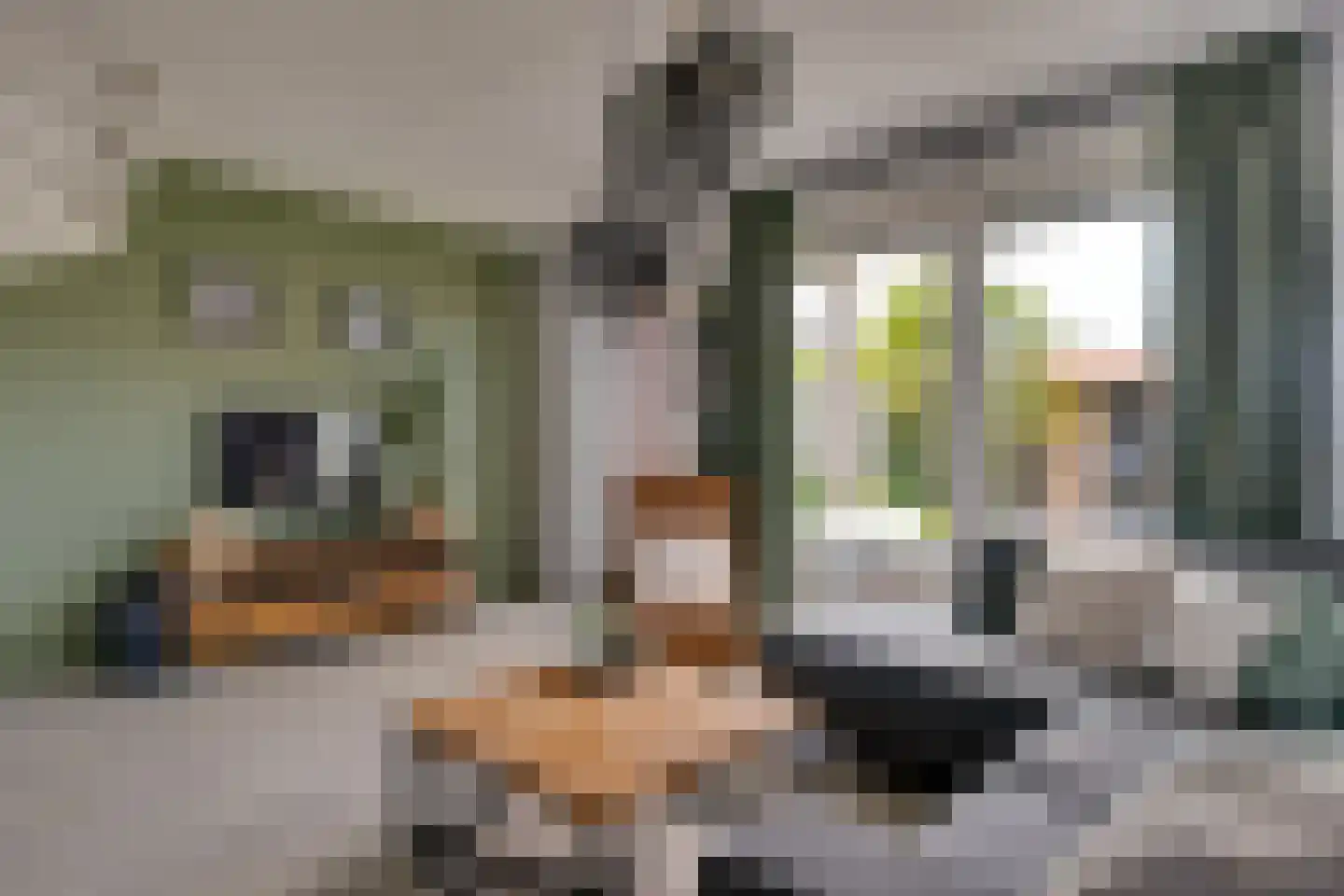 Lakensnijdersgilde 17 Hasselt thumbnail 18
