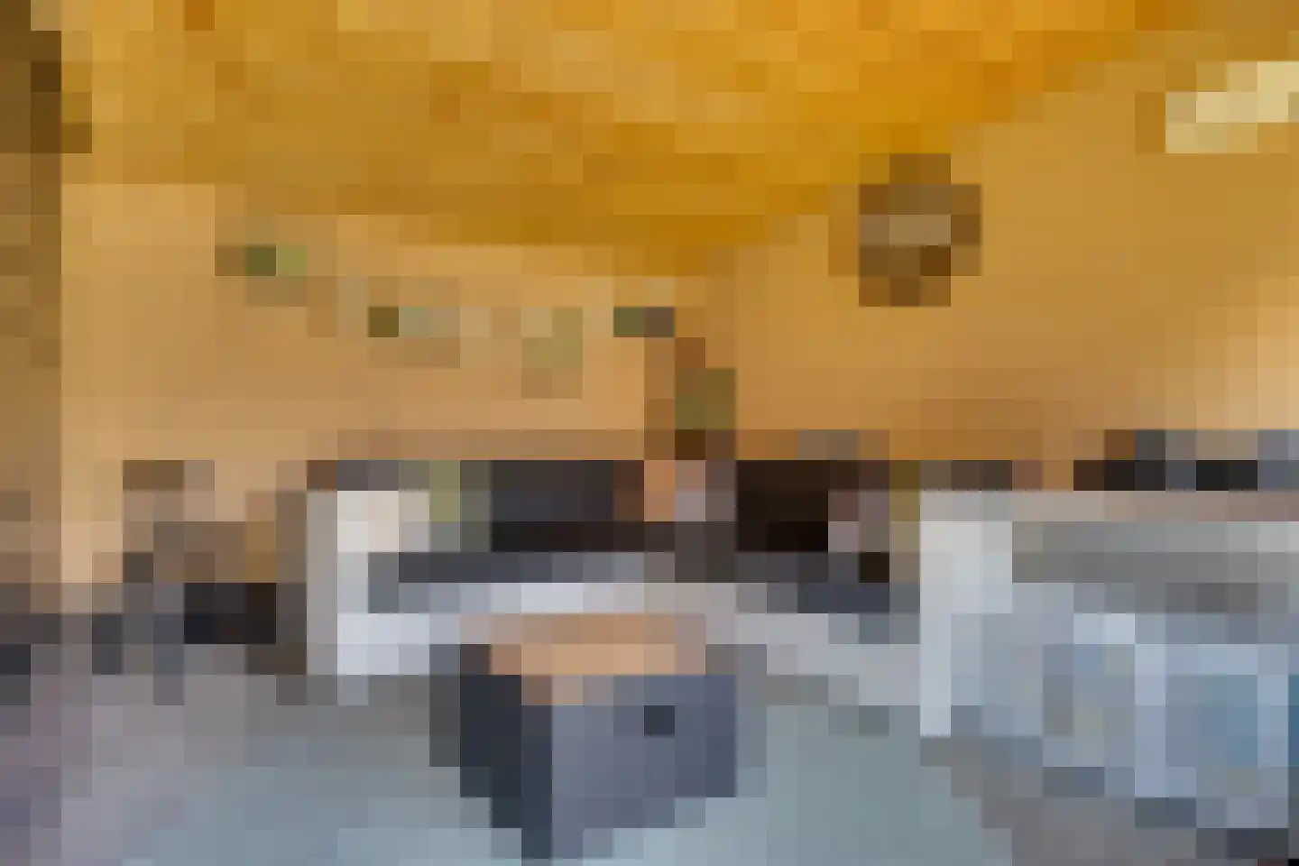 Lakensnijdersgilde 17 Hasselt thumbnail 20