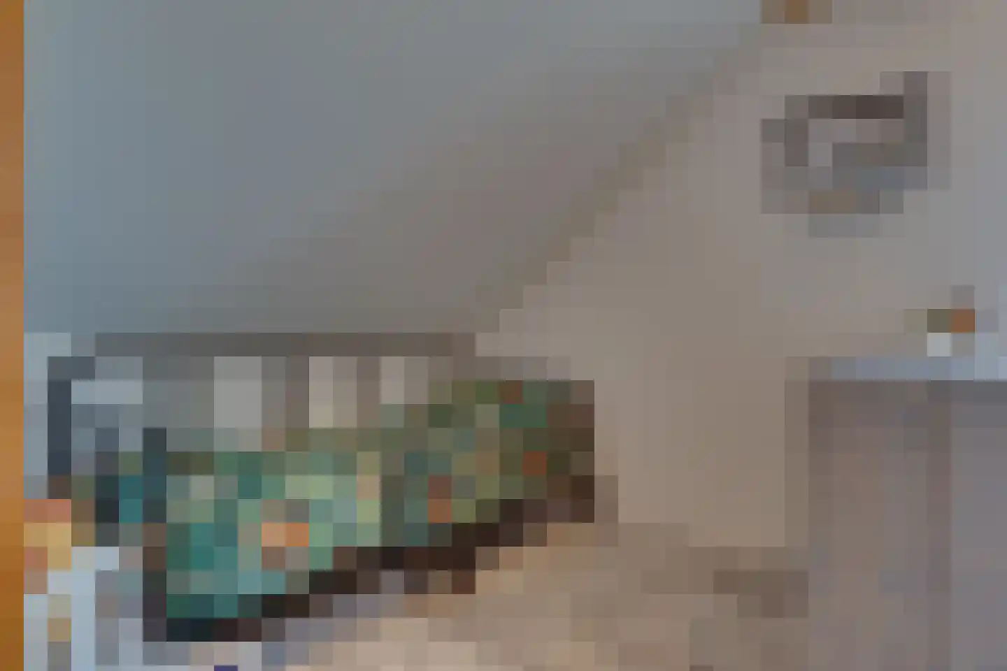 Lakensnijdersgilde 17 Hasselt thumbnail 34