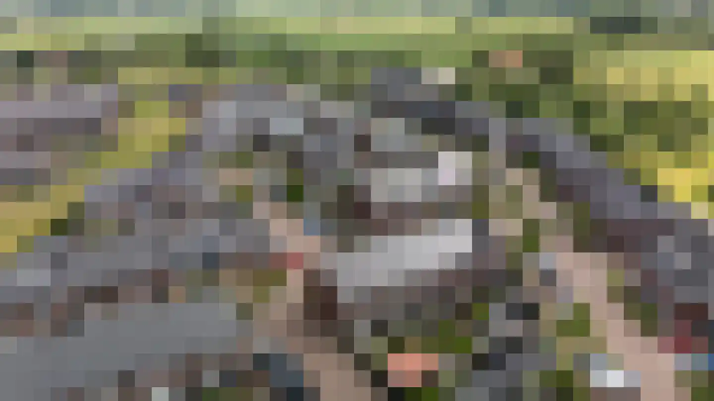 Lakensnijdersgilde 17 Hasselt thumbnail 36