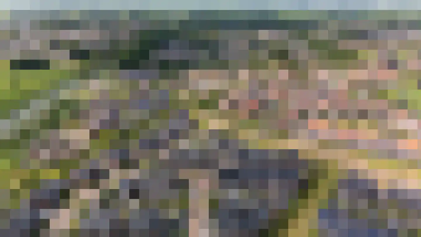 Lakensnijdersgilde 17 Hasselt thumbnail 37