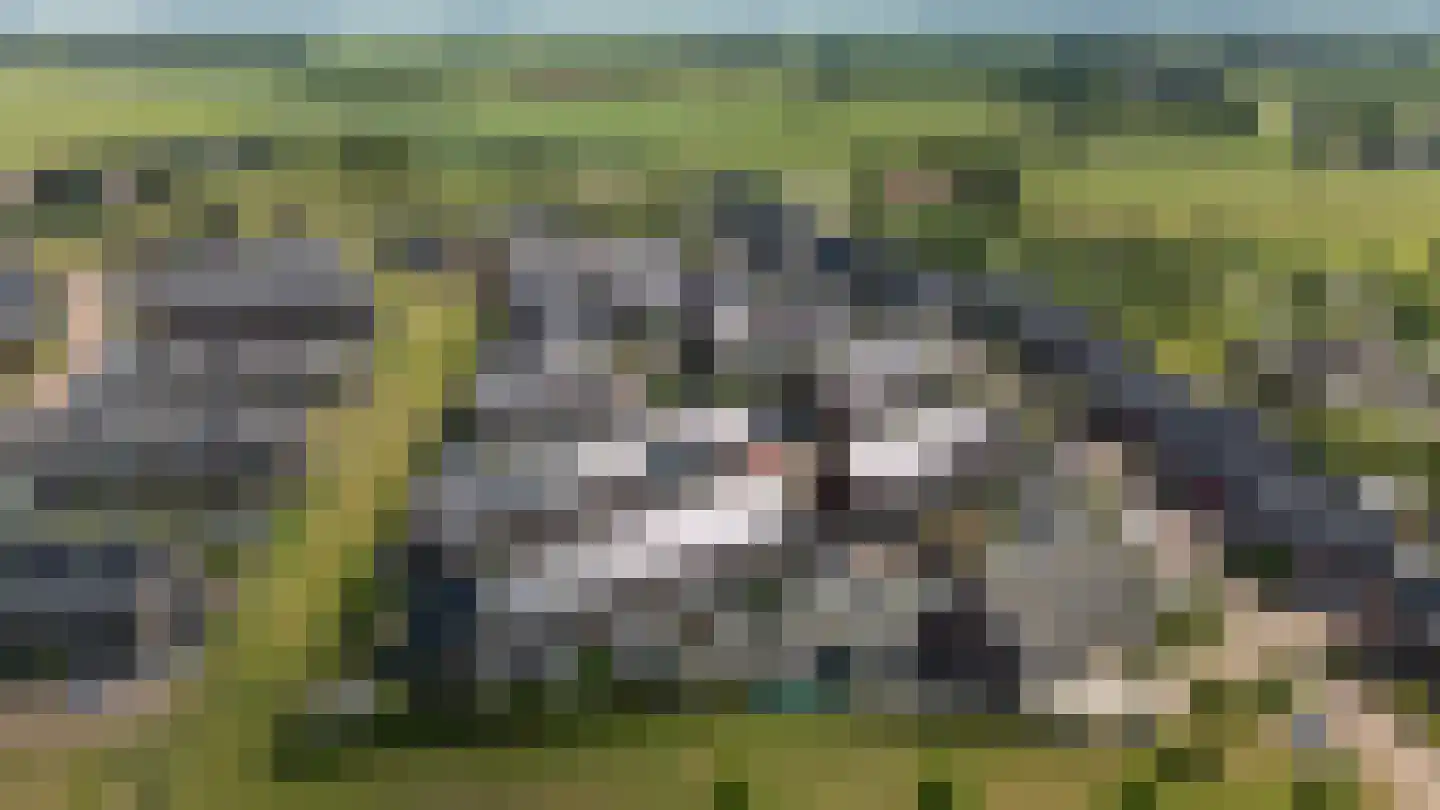 Lakensnijdersgilde 17 Hasselt thumbnail 38