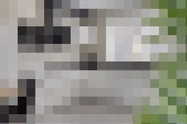 Lakensnijdersgilde 21 Hasselt thumbnail 10