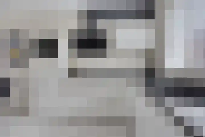 Lakensnijdersgilde 21 Hasselt thumbnail 11