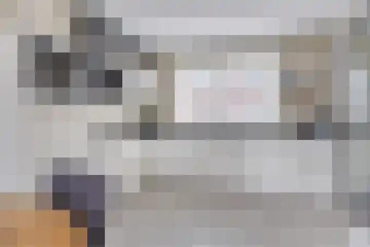 Lakensnijdersgilde 21 Hasselt thumbnail 12