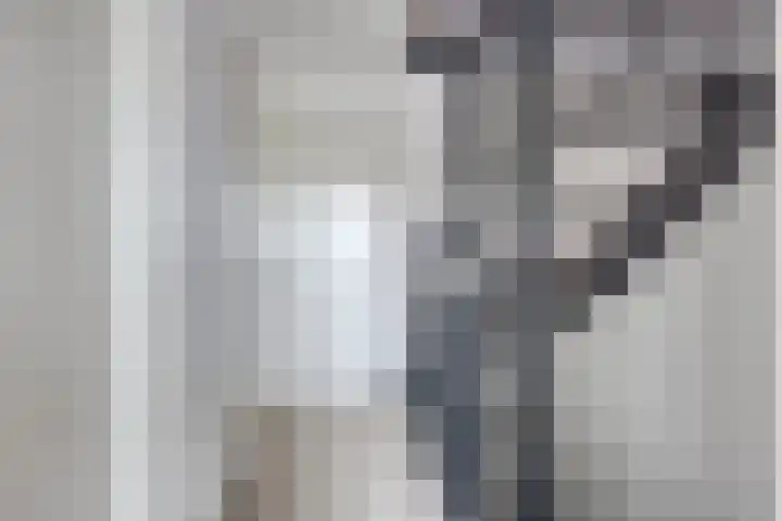 Lakensnijdersgilde 21 Hasselt thumbnail 15